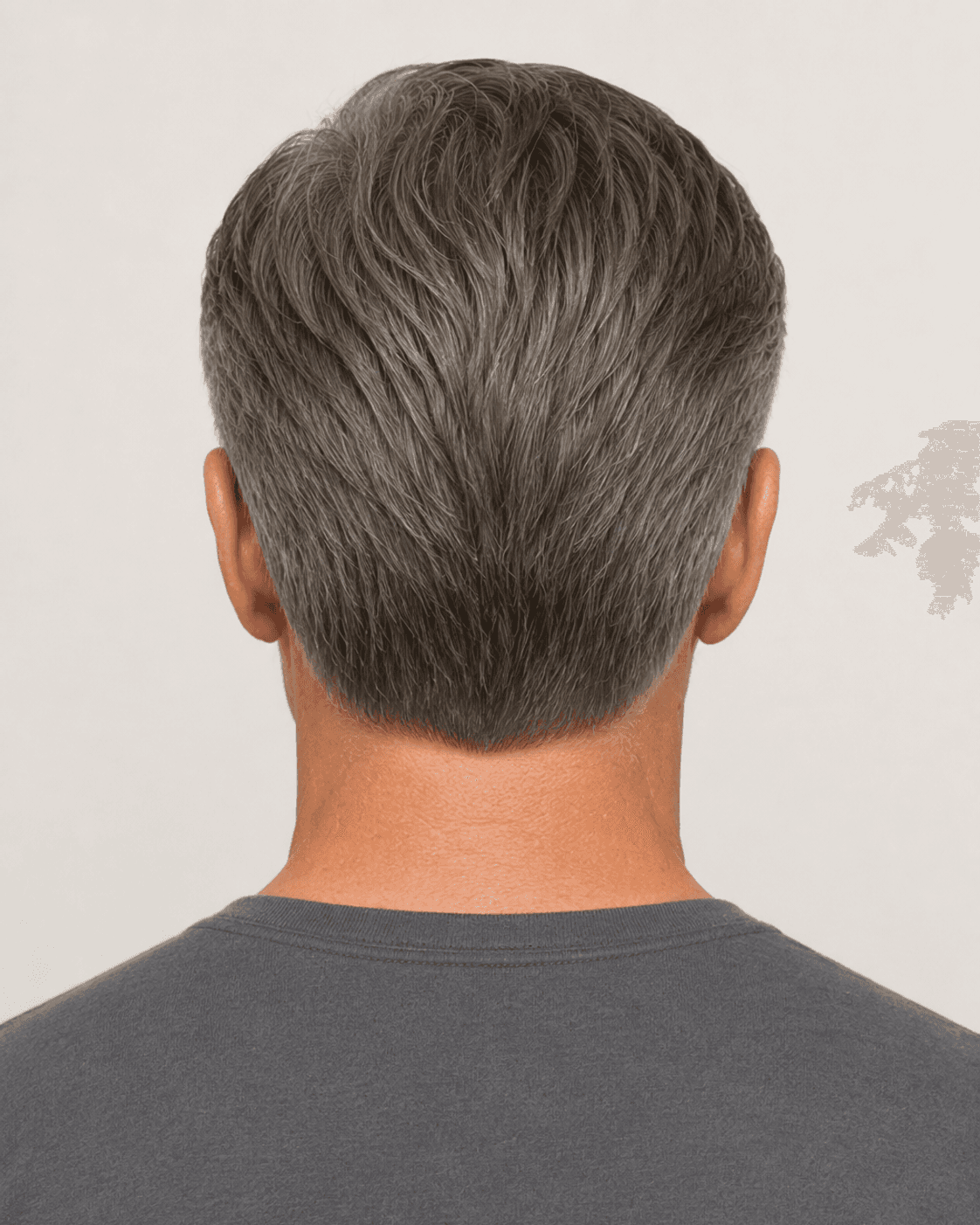 Rear view of a classic swept-back cut showing the tapered nape and symmetry